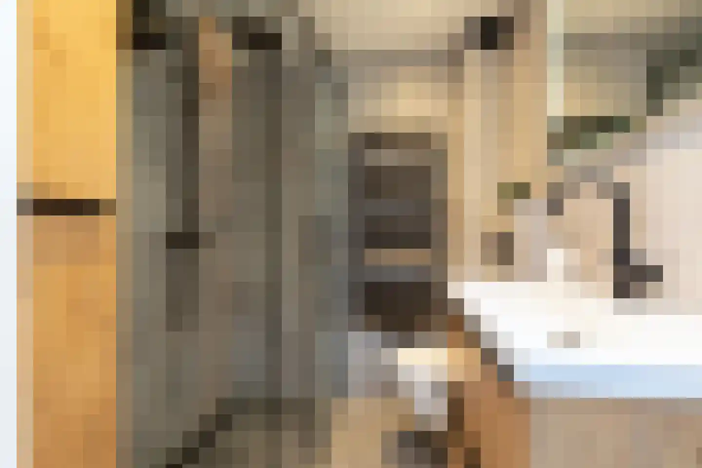 Bonkelaar 26 Sneek thumbnail 28