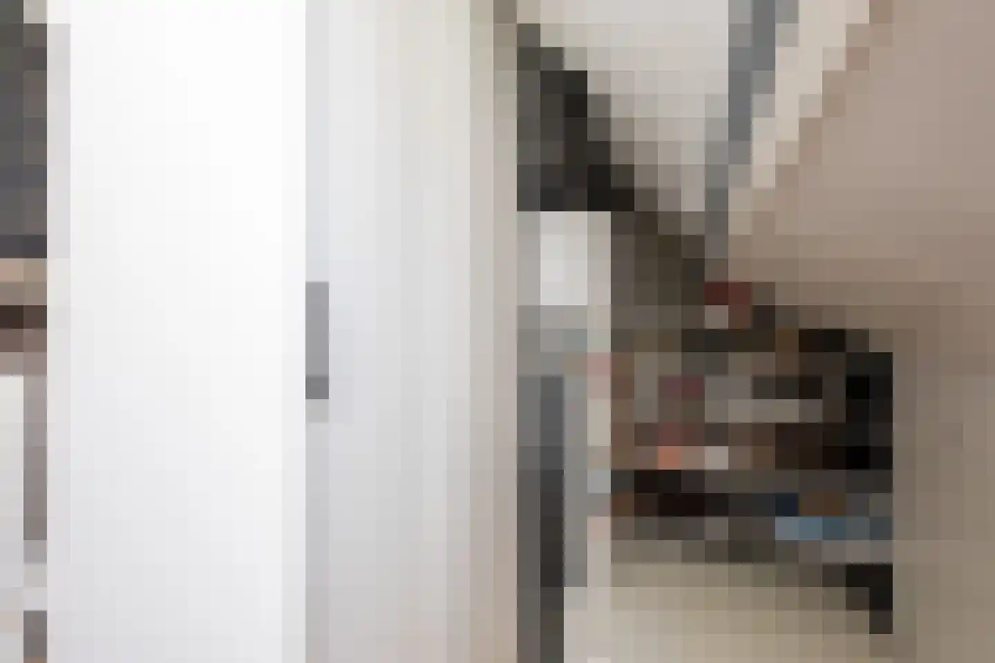 Bonkelaar 26 Sneek thumbnail 33