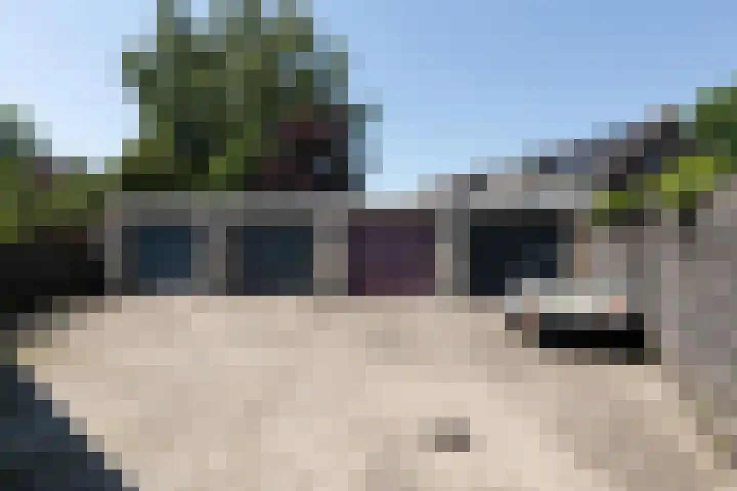Bonkelaar 26 Sneek thumbnail 6