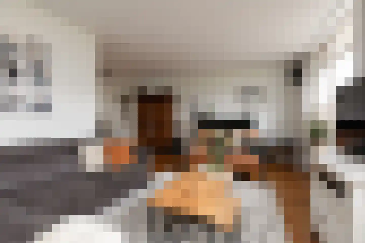 Bonkelaar 26 Sneek thumbnail 9