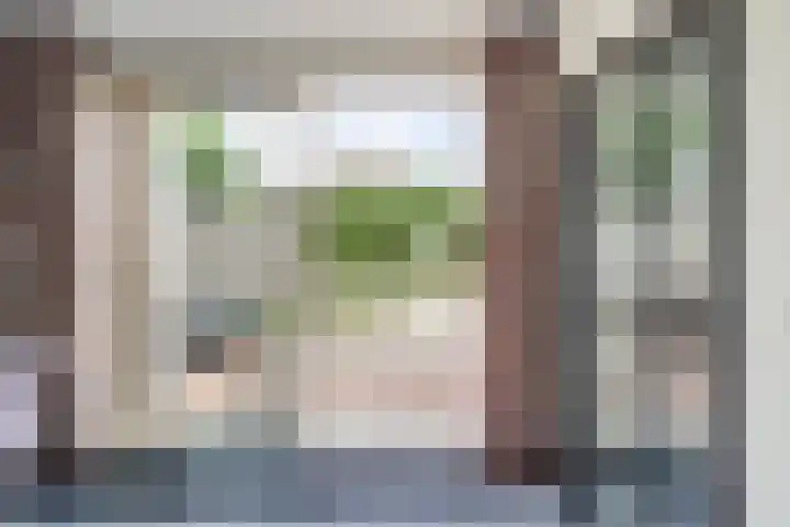 Bonkelaar 3 Raamsdonksveer thumbnail 10