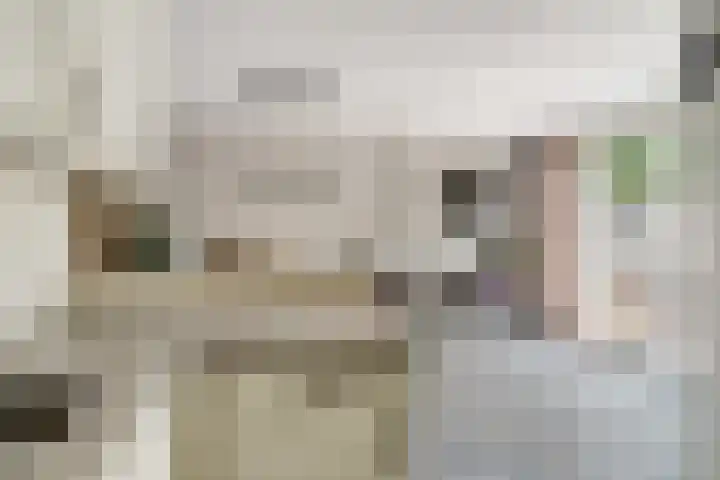 Bonkelaar 3 Raamsdonksveer thumbnail 11