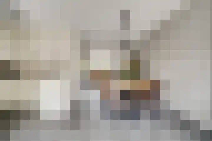 Bonkelaar 3 Raamsdonksveer thumbnail 12