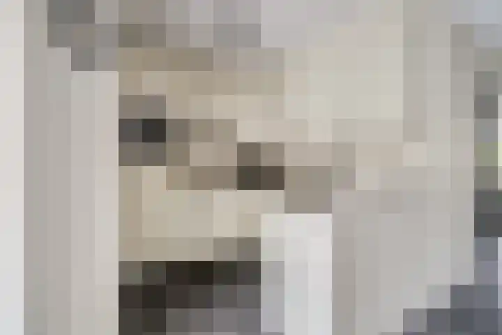 Bonkelaar 3 Raamsdonksveer thumbnail 13