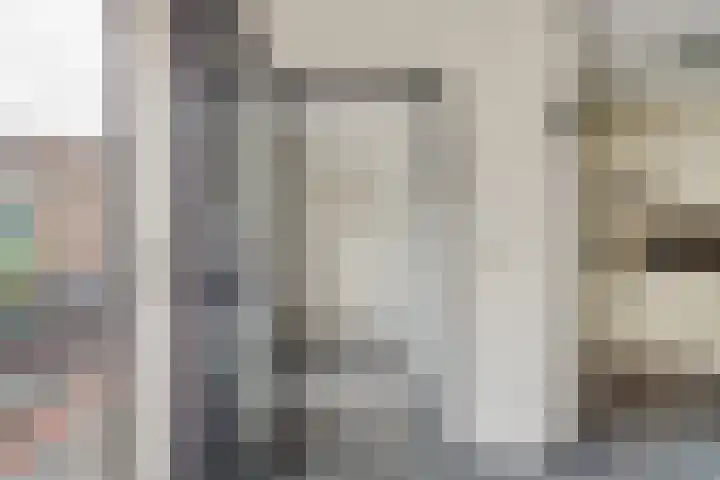 Bonkelaar 3 Raamsdonksveer thumbnail 14