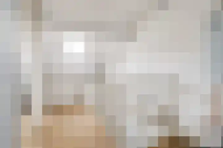 Bonkelaar 3 Raamsdonksveer thumbnail 19
