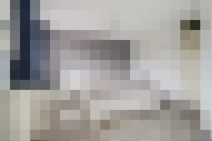 Bonkelaar 3 Raamsdonksveer thumbnail 20