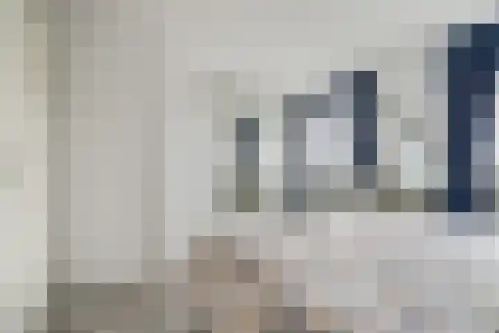 Bonkelaar 3 Raamsdonksveer thumbnail 21