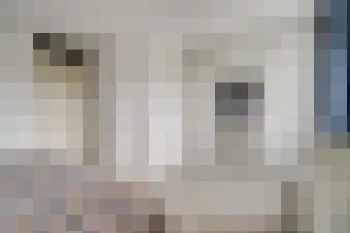 Bonkelaar 3 Raamsdonksveer thumbnail 22
