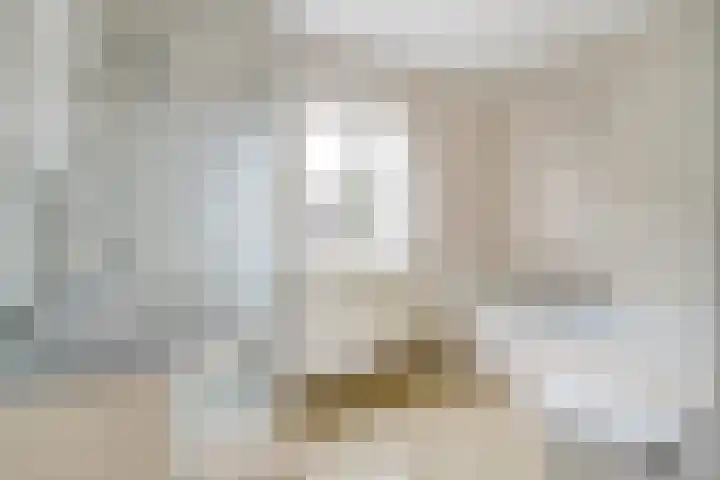 Bonkelaar 3 Raamsdonksveer thumbnail 25