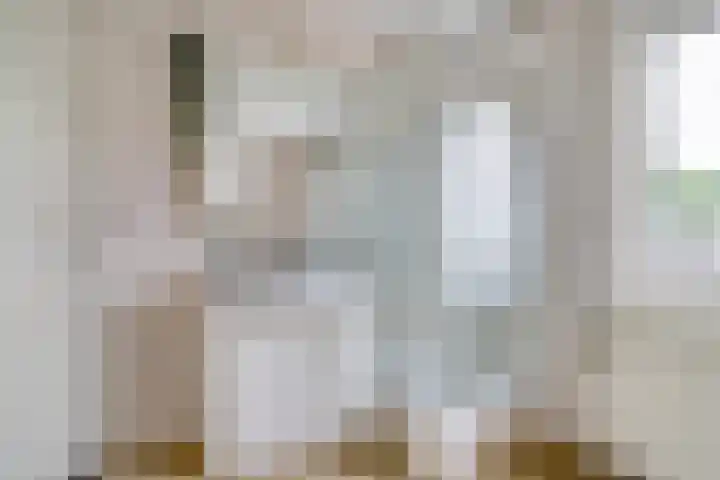 Bonkelaar 3 Raamsdonksveer thumbnail 26