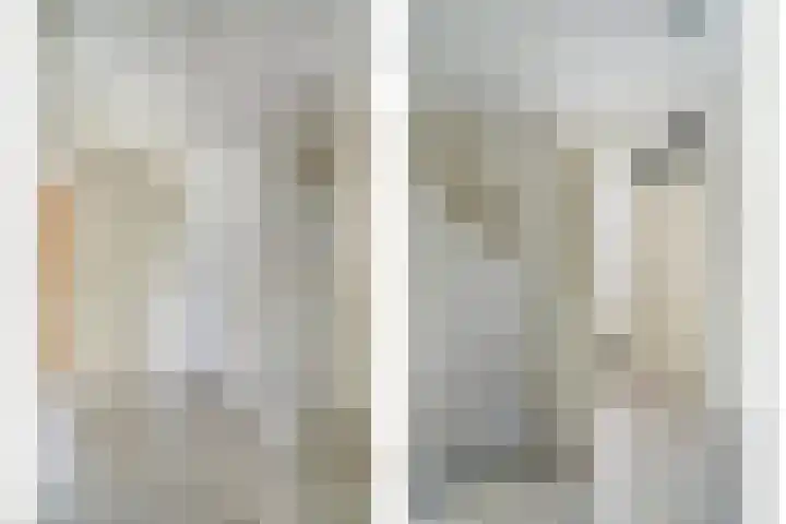 Bonkelaar 3 Raamsdonksveer thumbnail 27