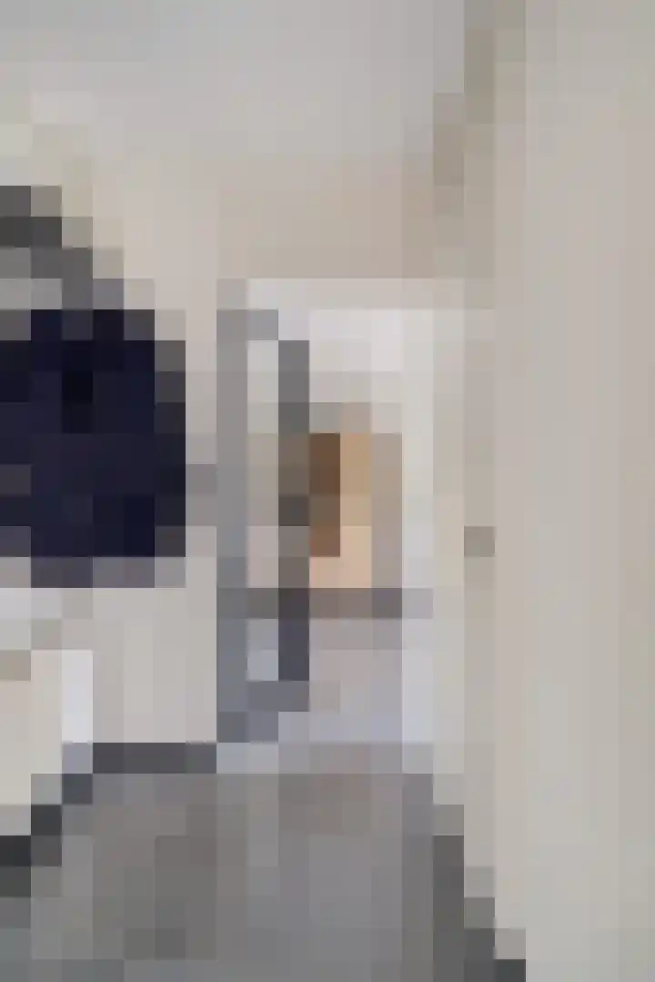 Bonkelaar 3 Raamsdonksveer thumbnail 28