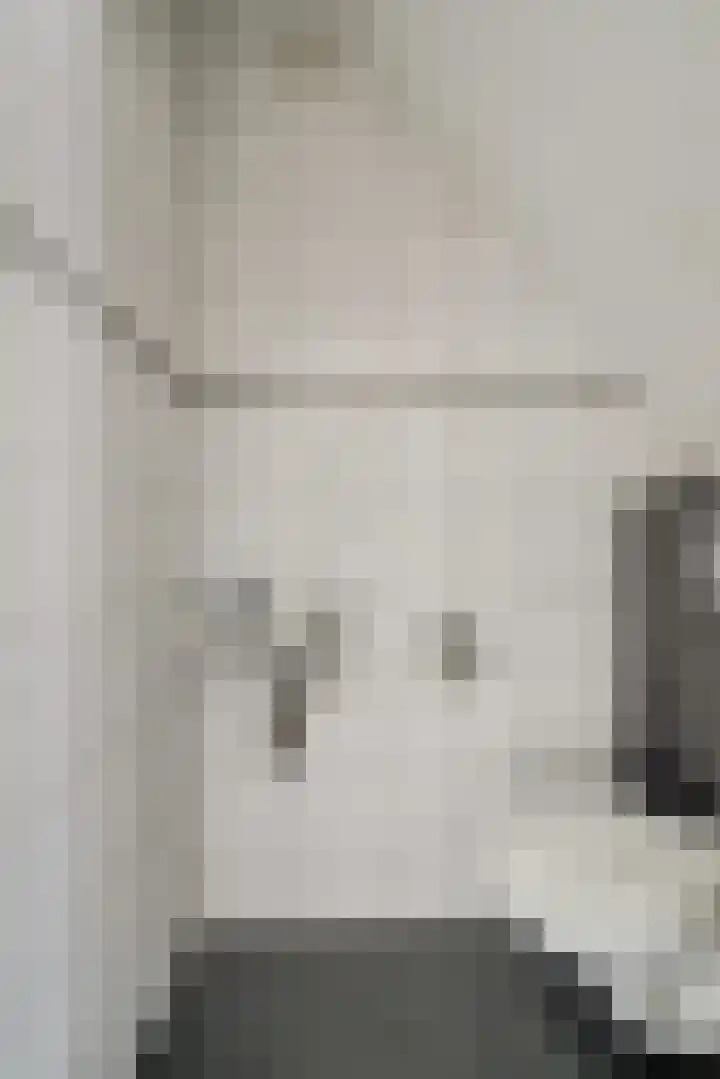 Bonkelaar 3 Raamsdonksveer thumbnail 29