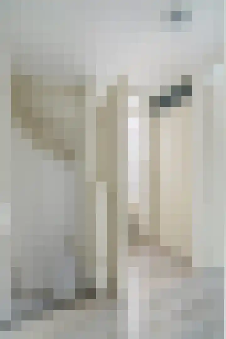 Bonkelaar 3 Raamsdonksveer thumbnail 31