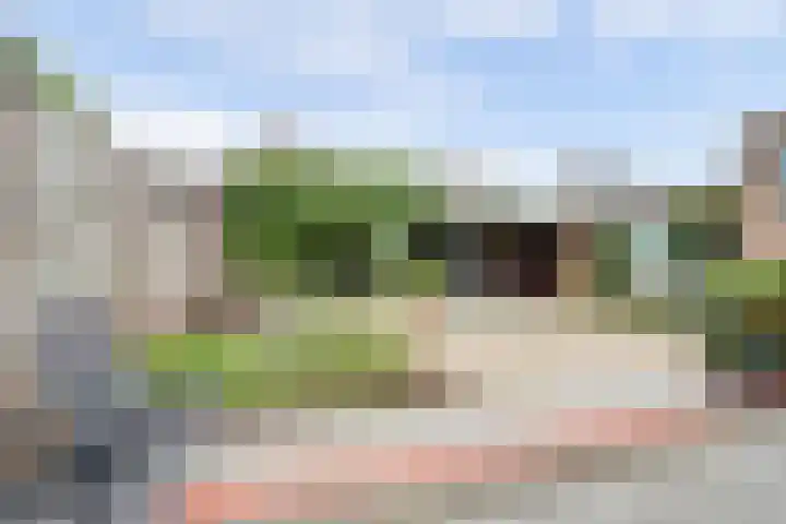 Bonkelaar 3 Raamsdonksveer thumbnail 34