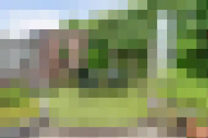 Bonkelaar 3 Raamsdonksveer thumbnail 35
