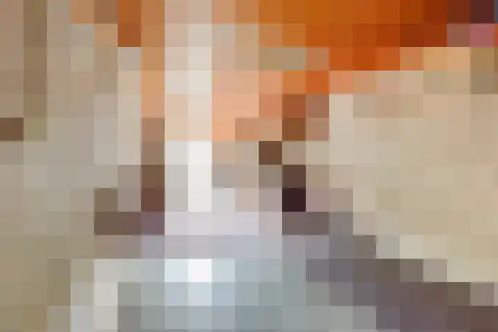 Bonkelaar 3 Raamsdonksveer thumbnail 37