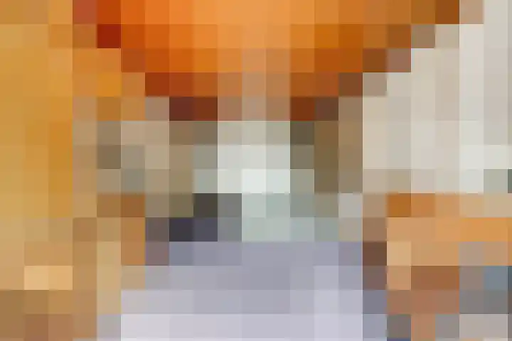 Bonkelaar 3 Raamsdonksveer thumbnail 38