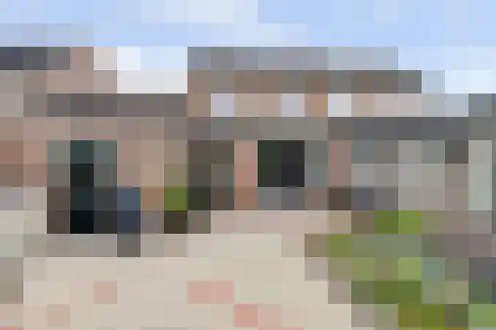 Bonkelaar 3 Raamsdonksveer thumbnail 39