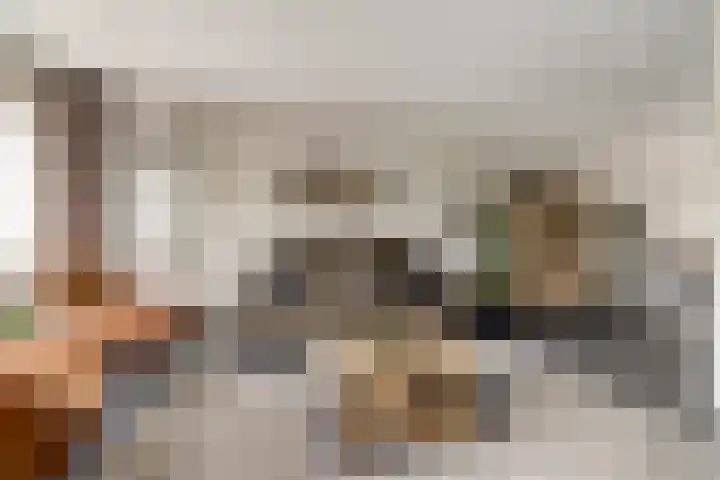 Bonkelaar 3 Raamsdonksveer thumbnail 4
