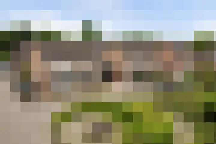 Bonkelaar 3 Raamsdonksveer thumbnail 42