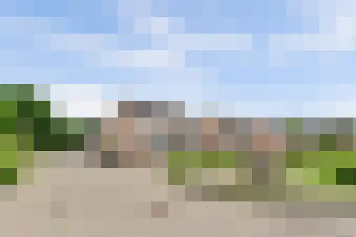 Bonkelaar 3 Raamsdonksveer thumbnail 43