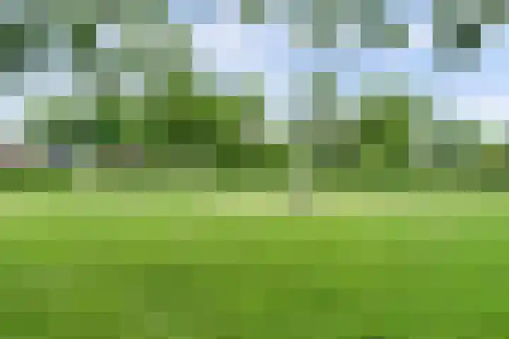 Bonkelaar 3 Raamsdonksveer thumbnail 44