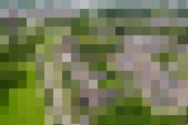 Bonkelaar 3 Raamsdonksveer thumbnail 45