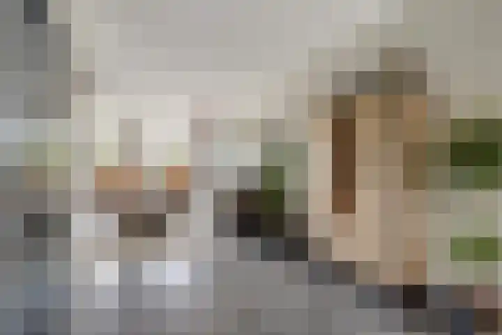 Bonkelaar 3 Raamsdonksveer thumbnail 5