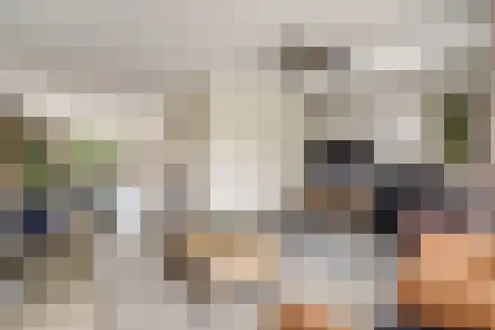 Bonkelaar 3 Raamsdonksveer thumbnail 6