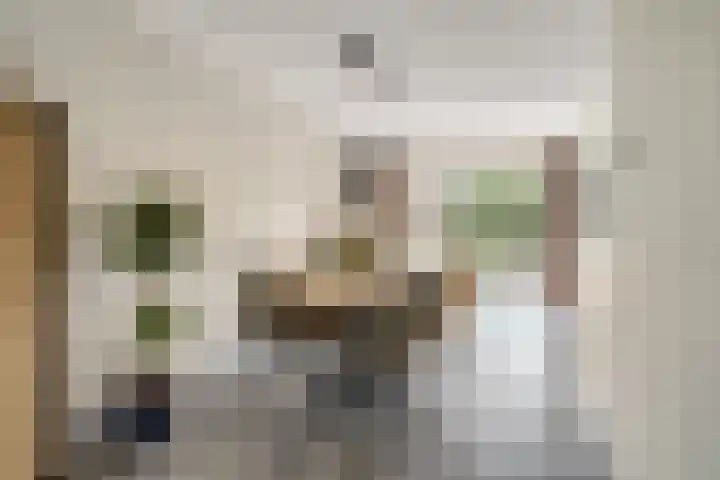 Bonkelaar 3 Raamsdonksveer thumbnail 8