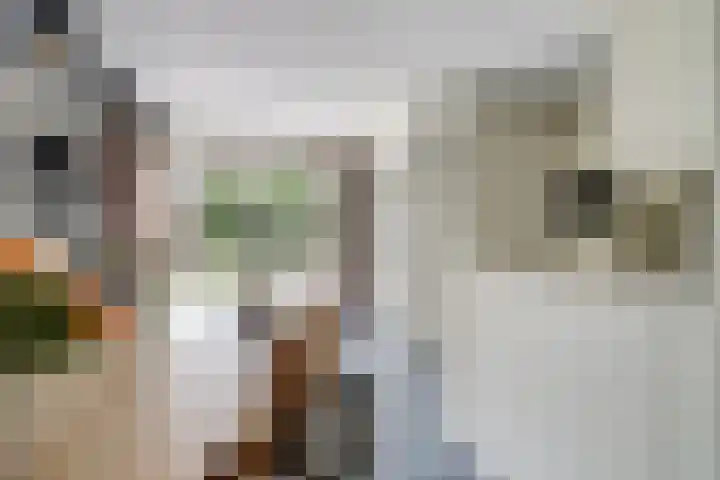 Bonkelaar 3 Raamsdonksveer thumbnail 9