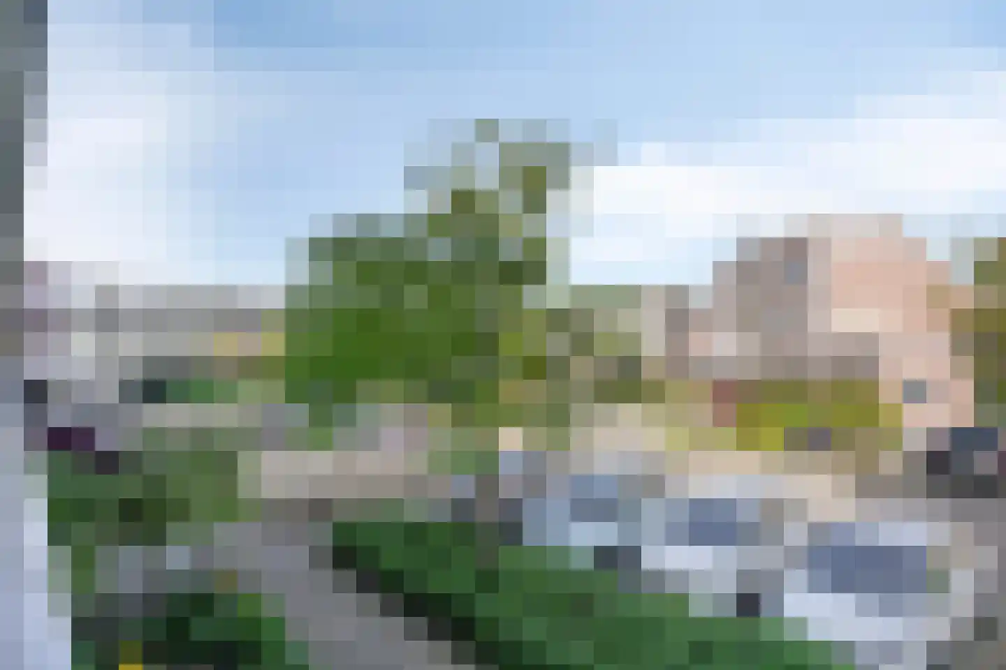 Bonkelaar 66 Mijdrecht thumbnail 8