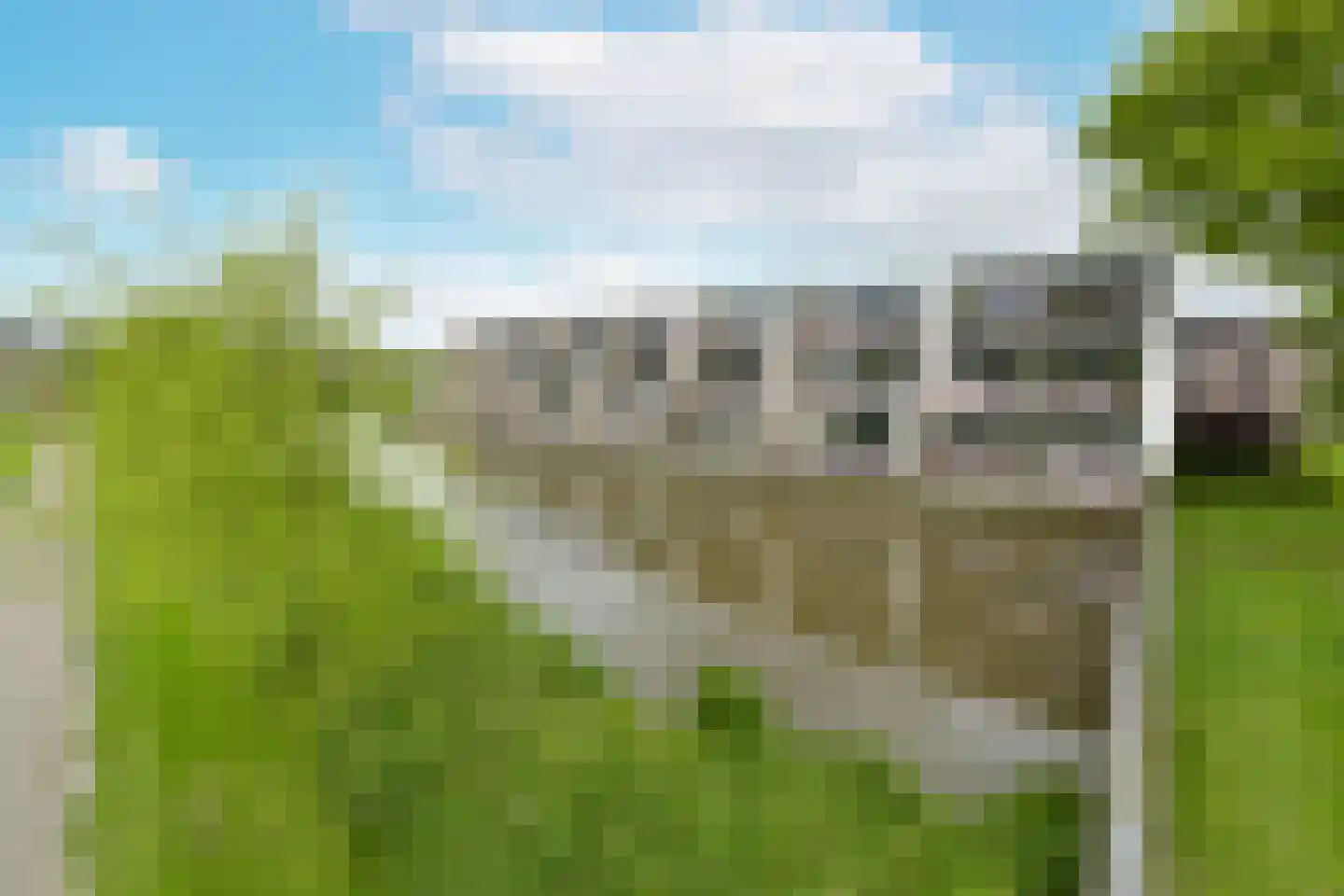 Bonkelaar 68 Mijdrecht thumbnail 23