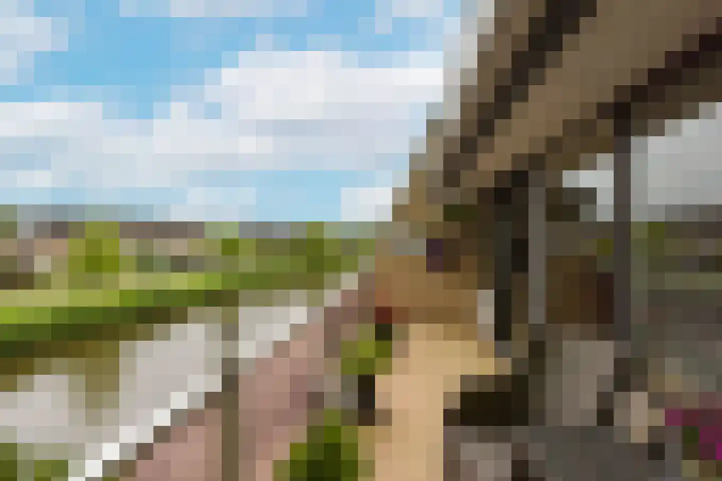 Bonkelaar 68 Mijdrecht thumbnail 4