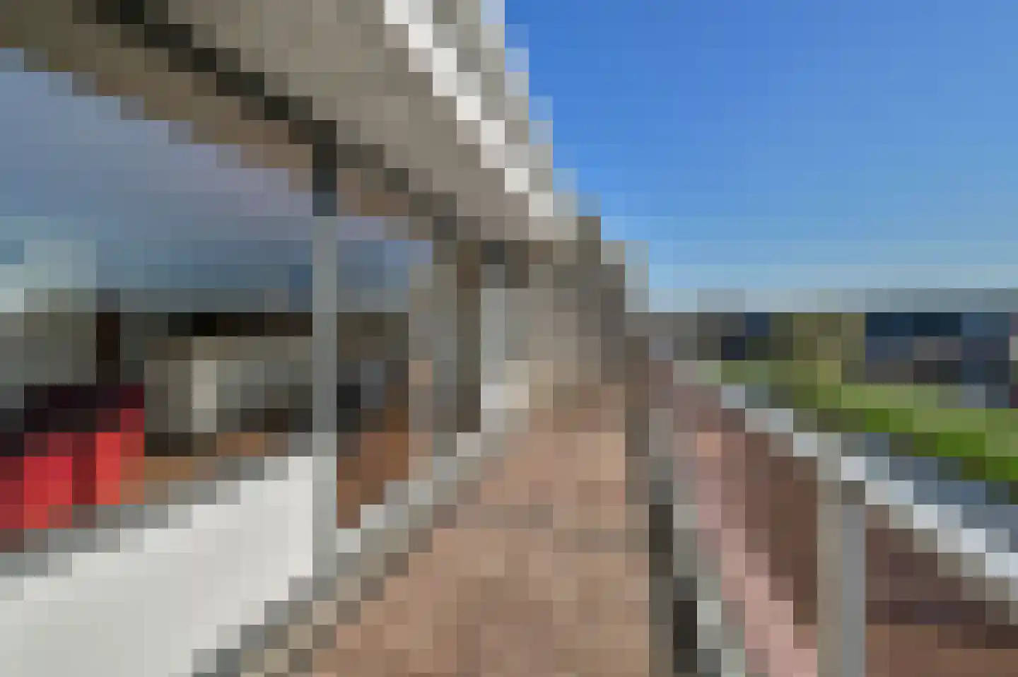 Bonkelaar 74 Mijdrecht thumbnail 7