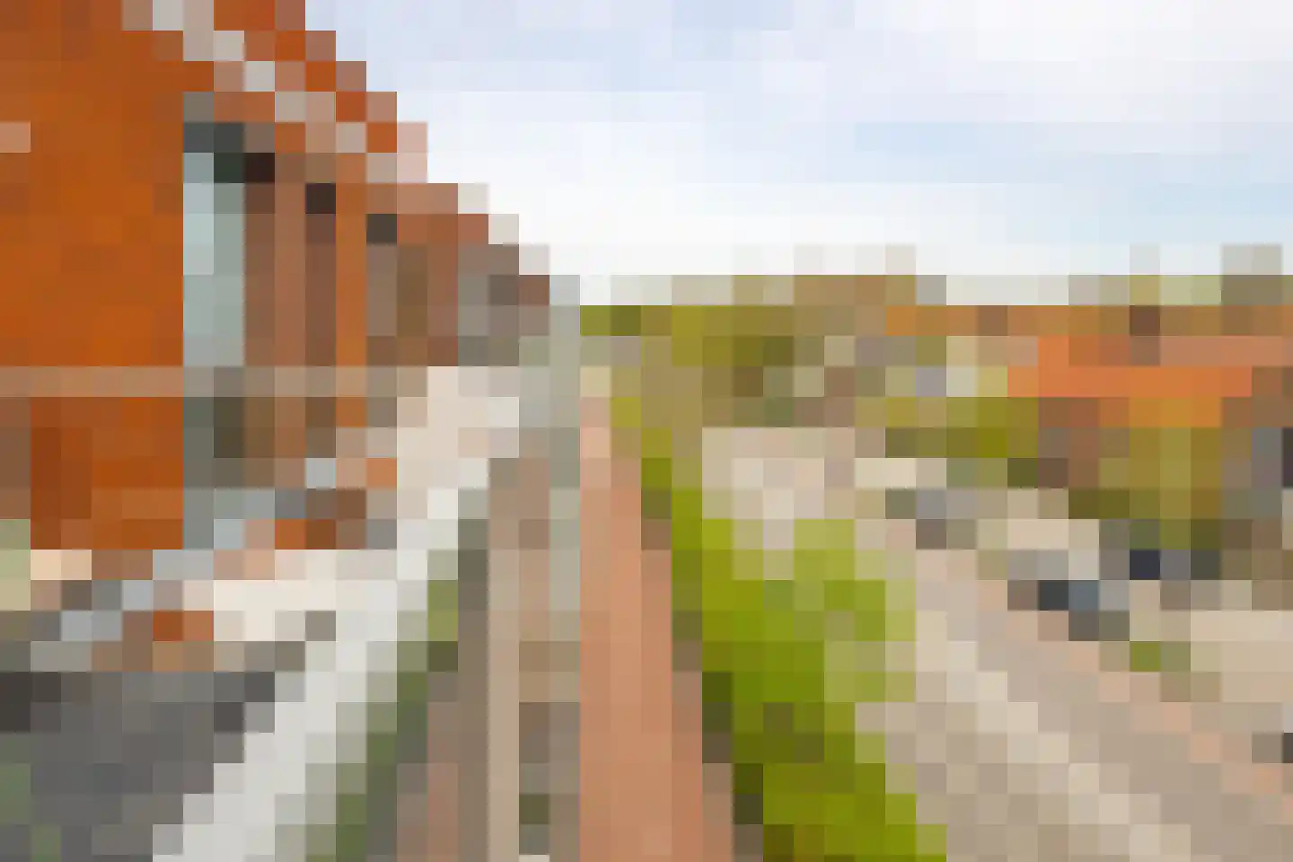 Bonkelaarplein 118 Sliedrecht thumbnail 13