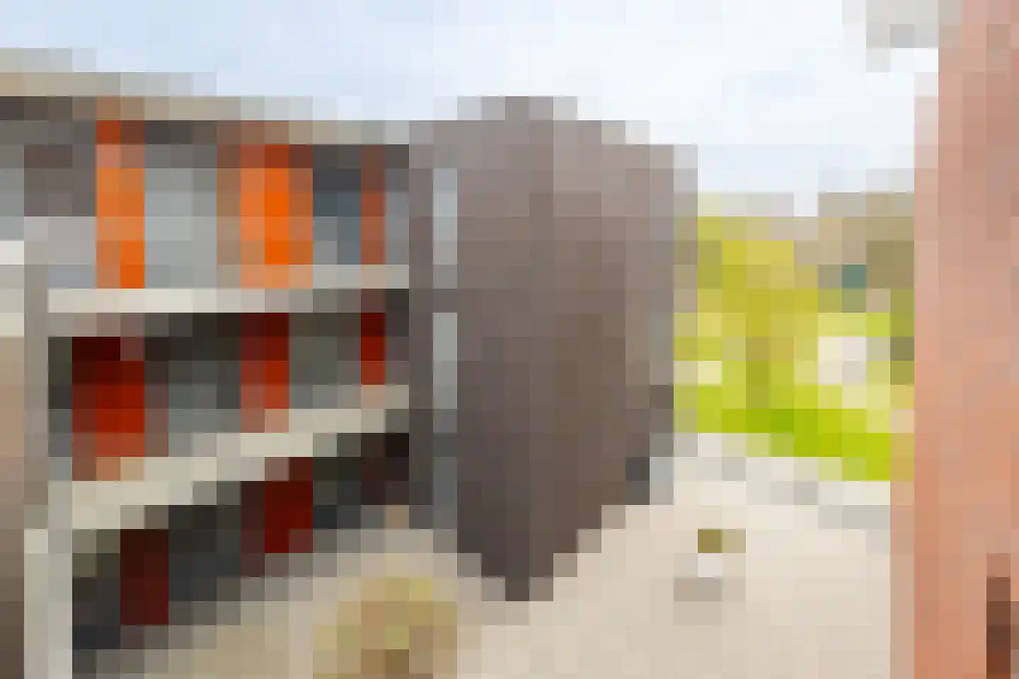 Bonkelaarplein 118 Sliedrecht thumbnail 23