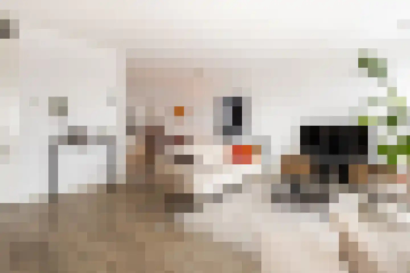 Bonkelaarplein 118 Sliedrecht thumbnail 6