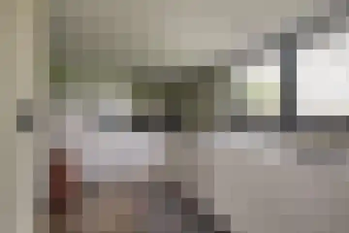 Bonkelaarsdijk 7 Schagen thumbnail 10