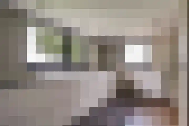 Bonkelaarsdijk 7 Schagen thumbnail 12