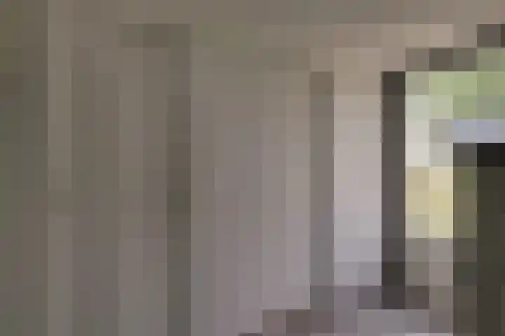 Bonkelaarsdijk 7 Schagen thumbnail 13