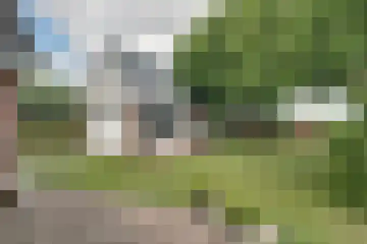 Bonkelaarsdijk 7 Schagen thumbnail 15