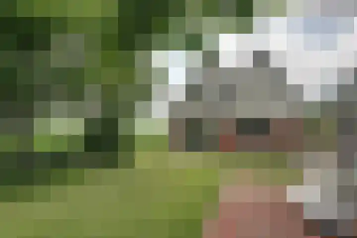 Bonkelaarsdijk 7 Schagen thumbnail 18