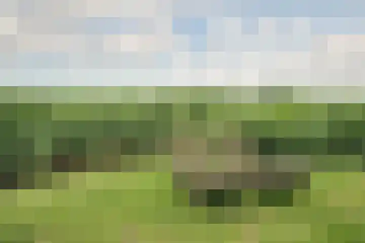 Bonkelaarsdijk 7 Schagen thumbnail 19
