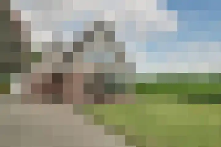 Bonkelaarsdijk 7 Schagen foto 2