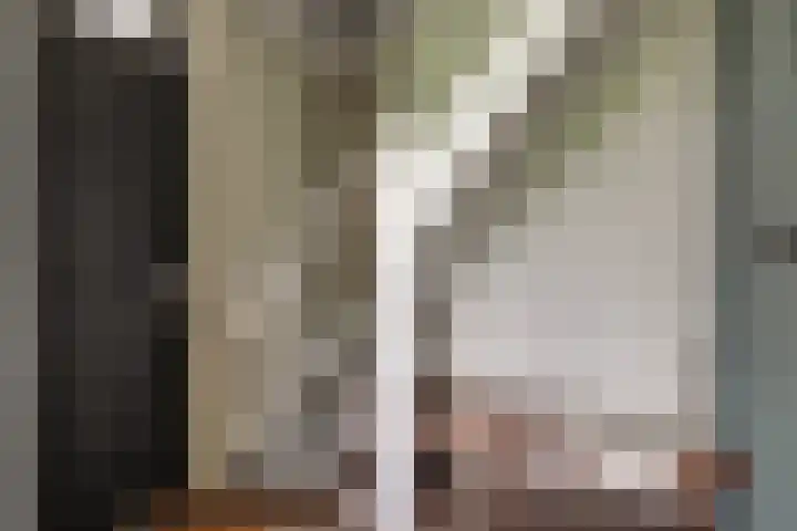 Bonkelaarsdijk 7 Schagen thumbnail 22