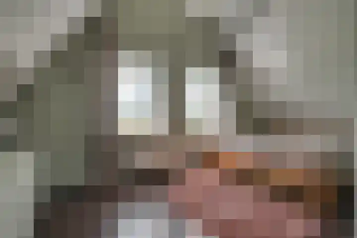 Bonkelaarsdijk 7 Schagen thumbnail 23