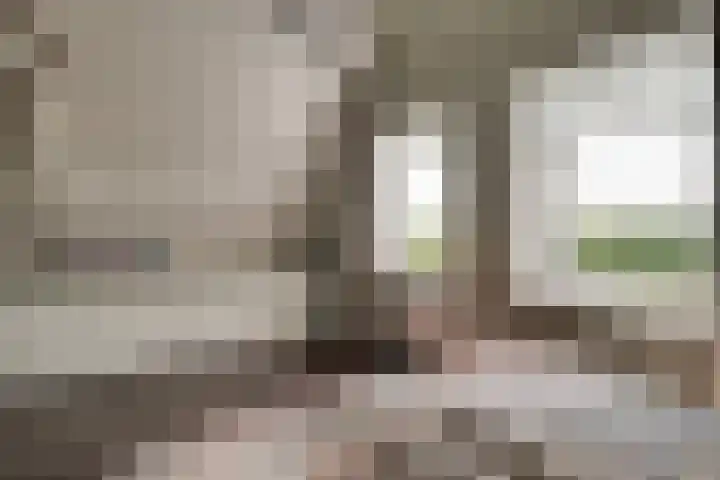 Bonkelaarsdijk 7 Schagen thumbnail 24